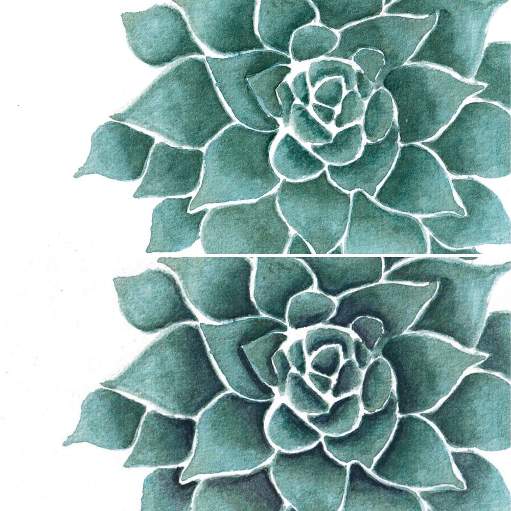 Watercolor Succulent - image 1 - student project