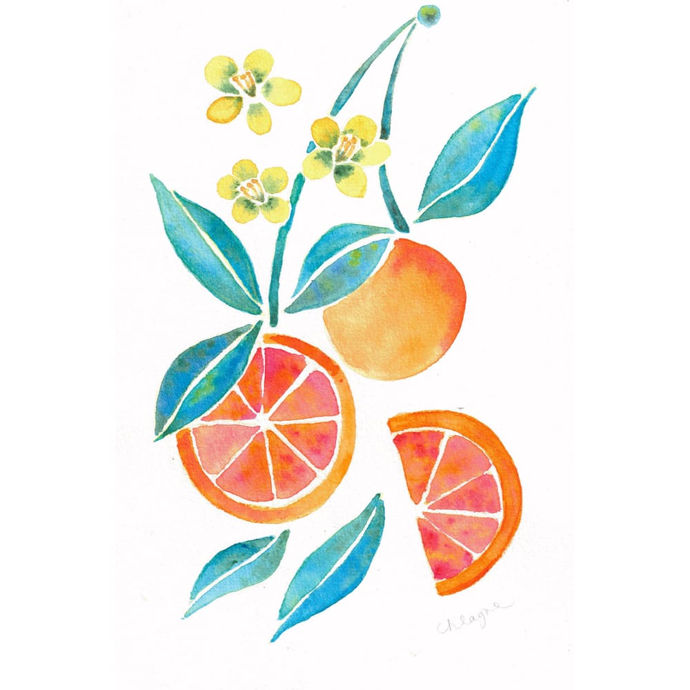 Fruit and Botanicals - image 3 - student project