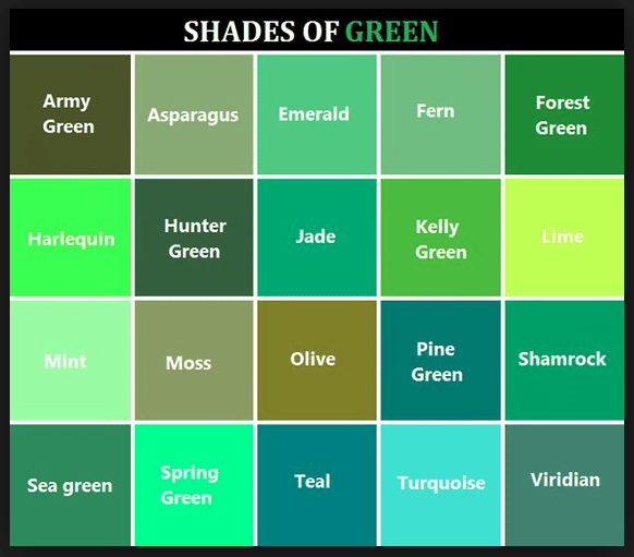 Green Glorious Green - image 2 - student project