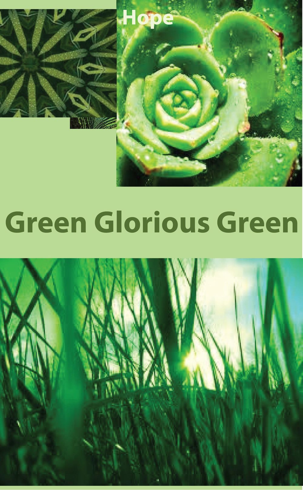 Green Glorious Green - image 1 - student project