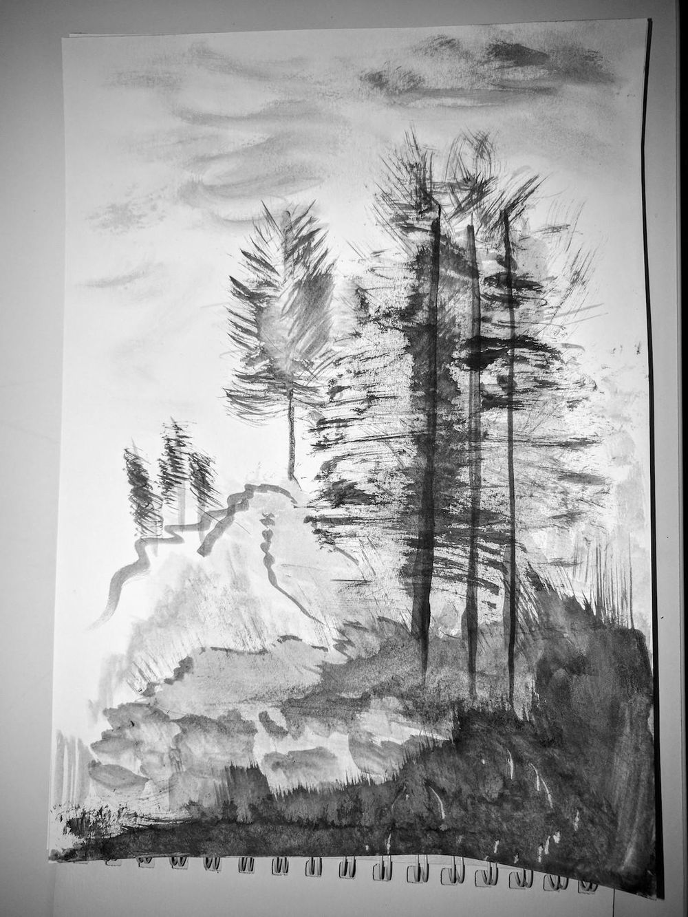 Project 1-3 - Expressive Brushwork - image 3 - student project
