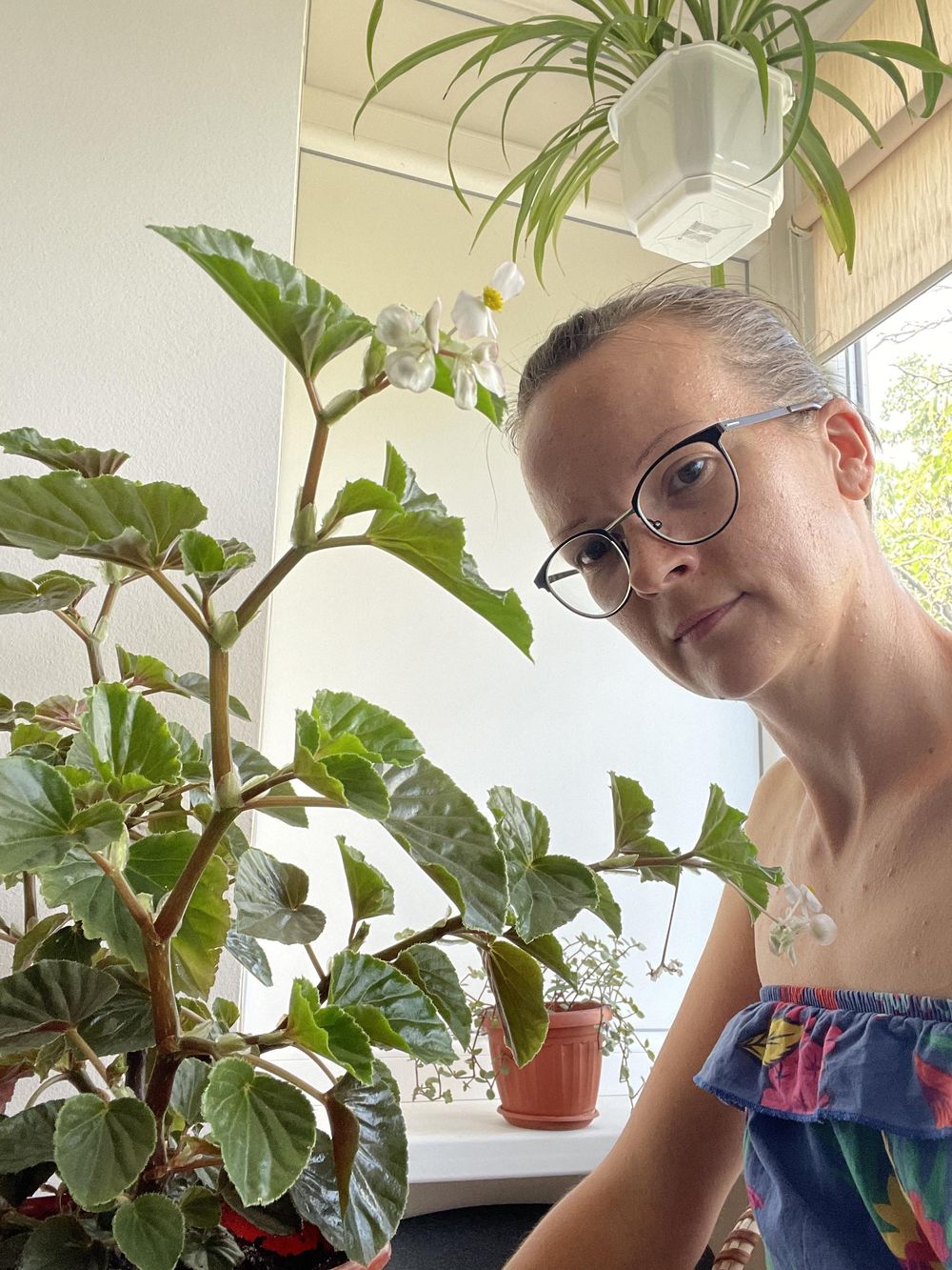 The farm of my wonderful plants - image 1 - student project