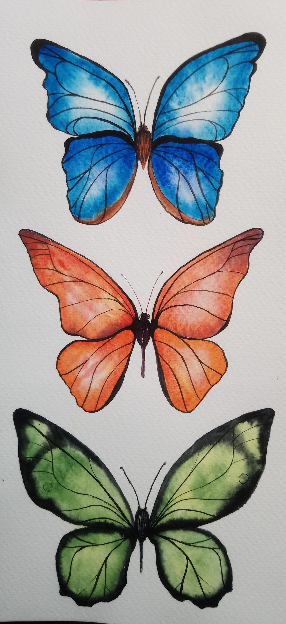 Learn to Paint Realistic Watercolor Butterflies - image 1 - student project
