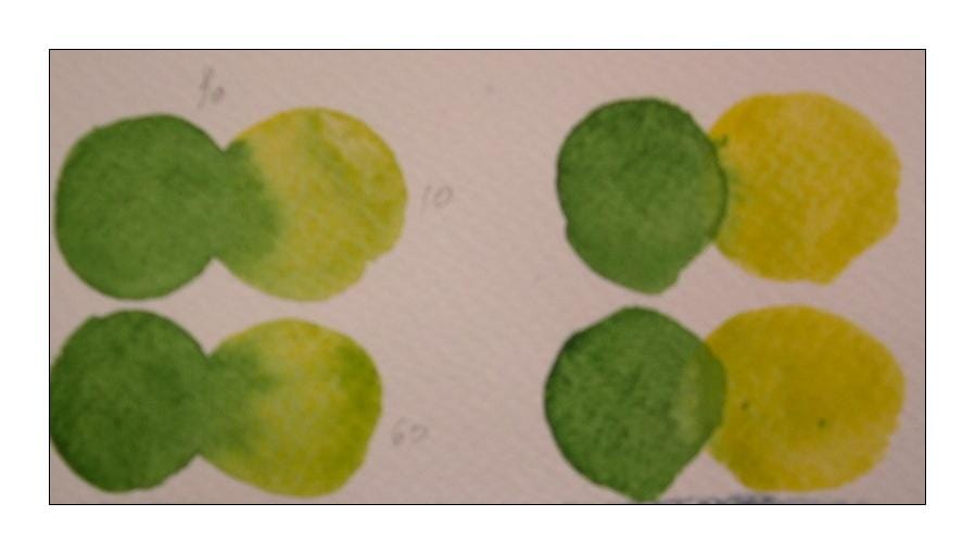 I <3 watercolour - image 4 - student project
