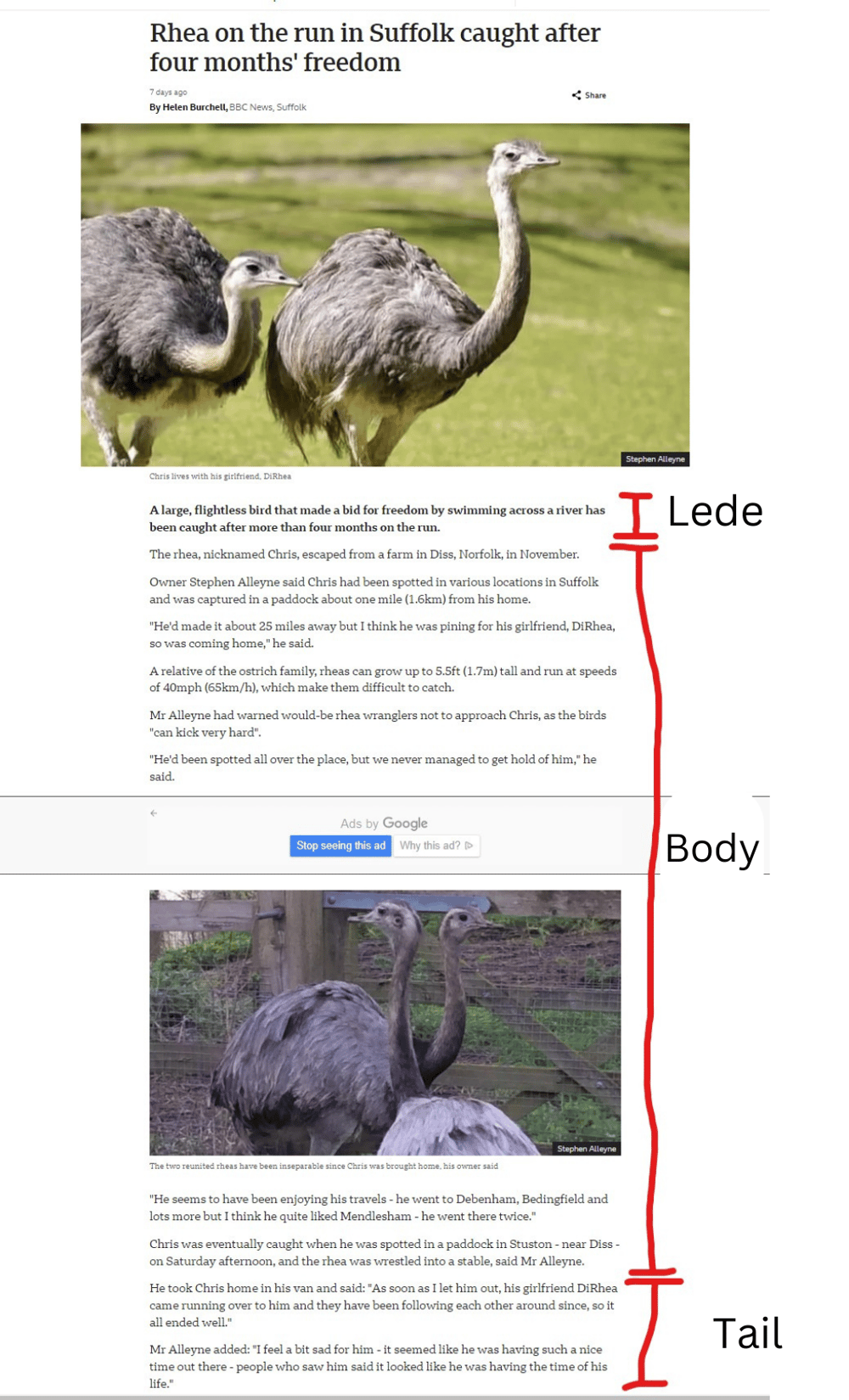 Dissecting News Articles - image 1 - student project