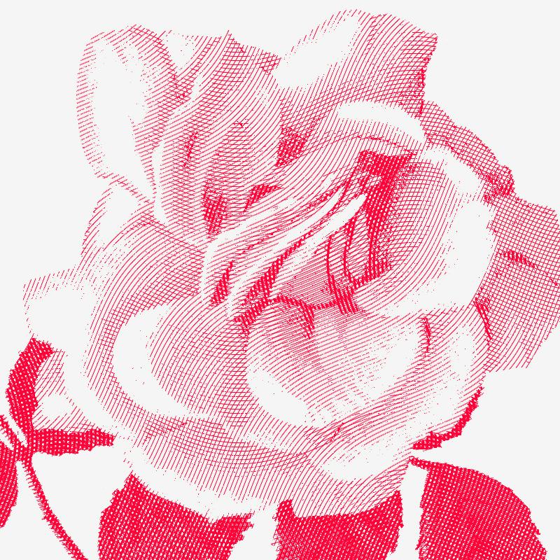 Line Engraving Effect - image 19 - student project