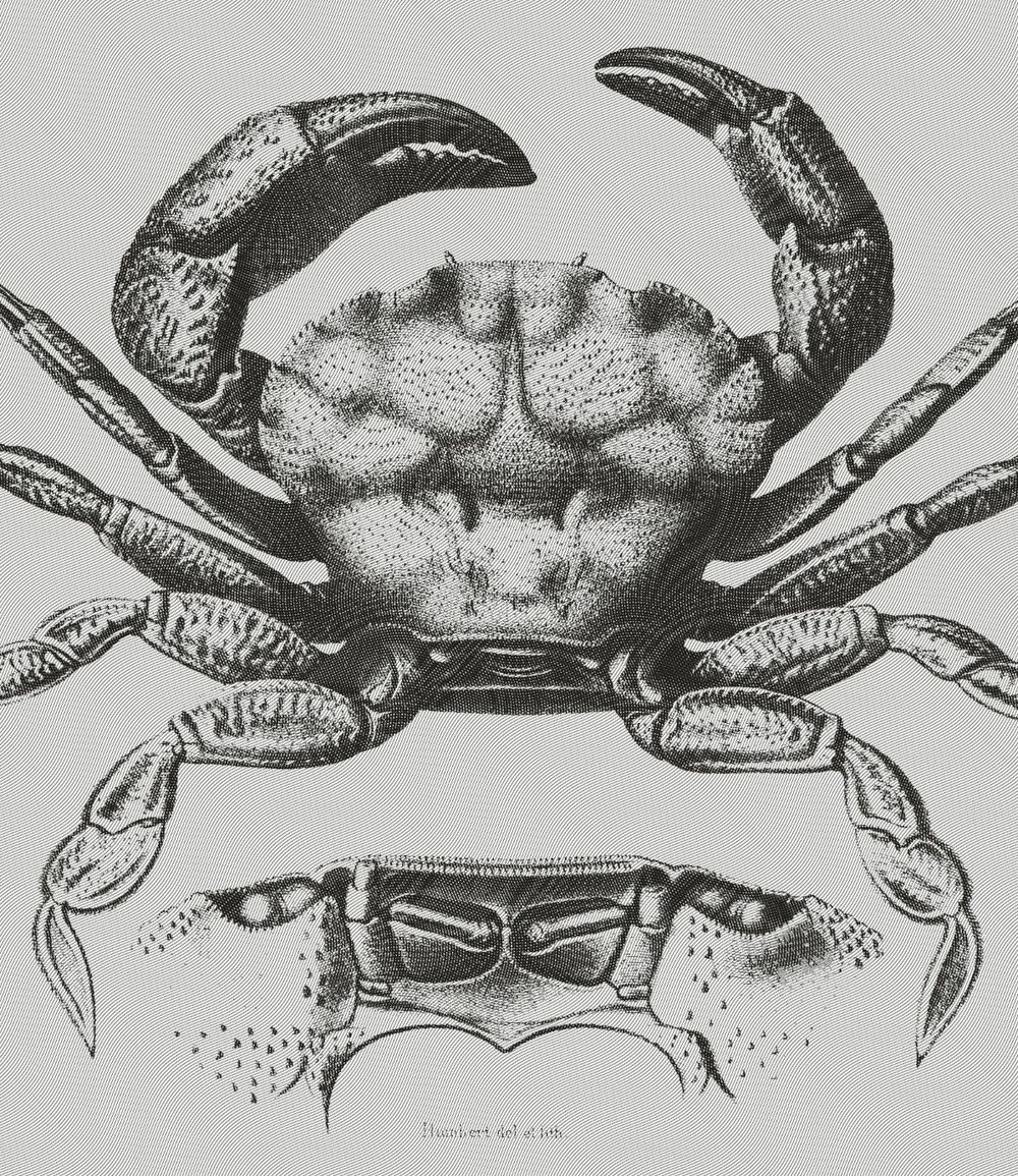 Line Engraving Effect - image 15 - student project