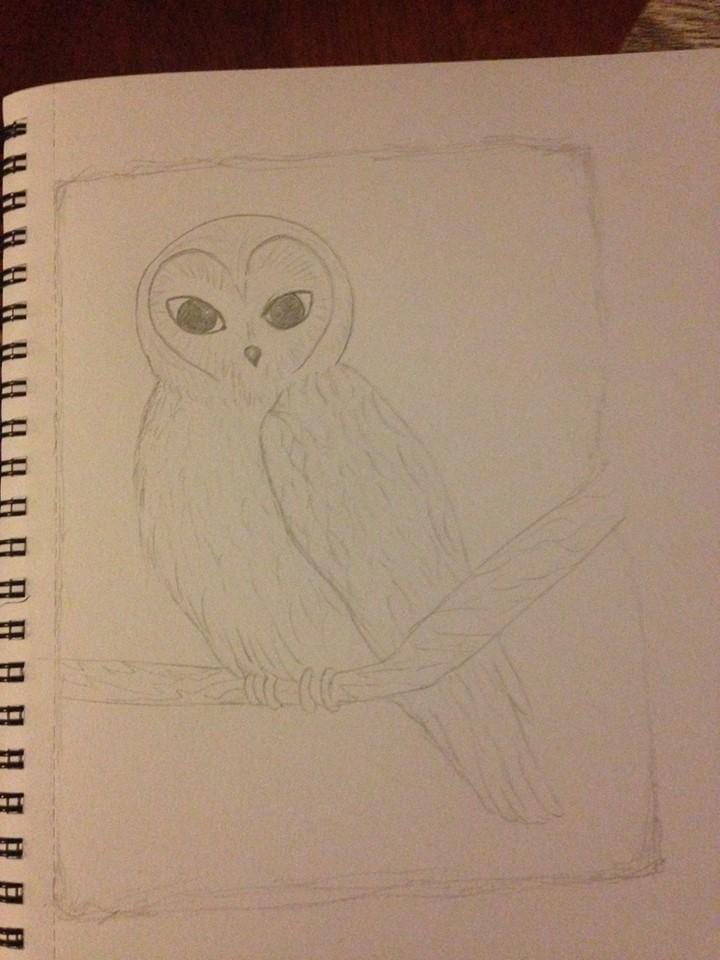 Learning to Ink Cute Animals - image 1 - student project