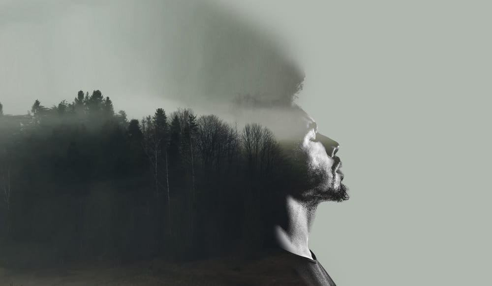 Photoshop Advanced Course - image 17 - student project