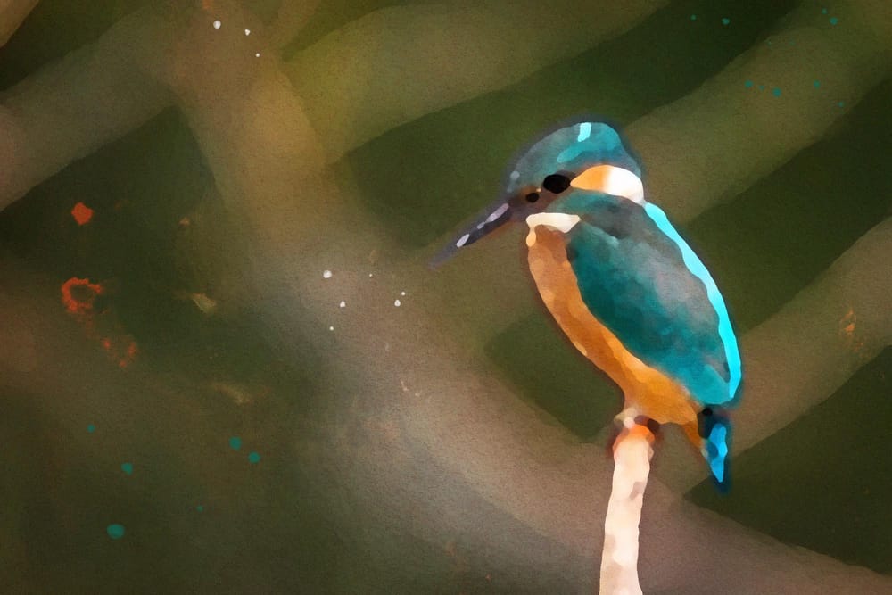 Photoshop Advanced Course - image 18 - student project