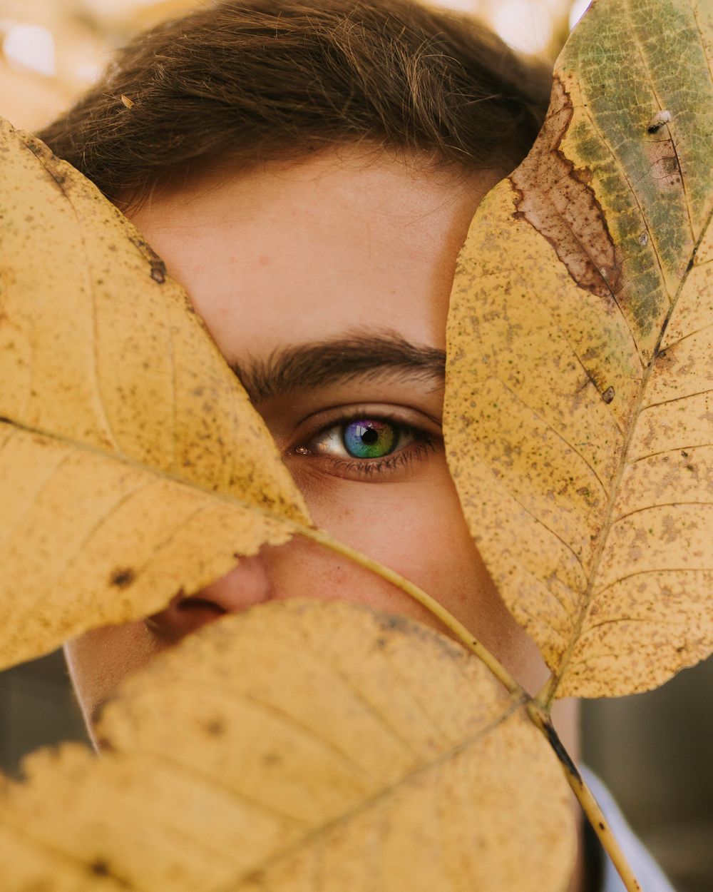 Photoshop Advanced Course - image 11 - student project