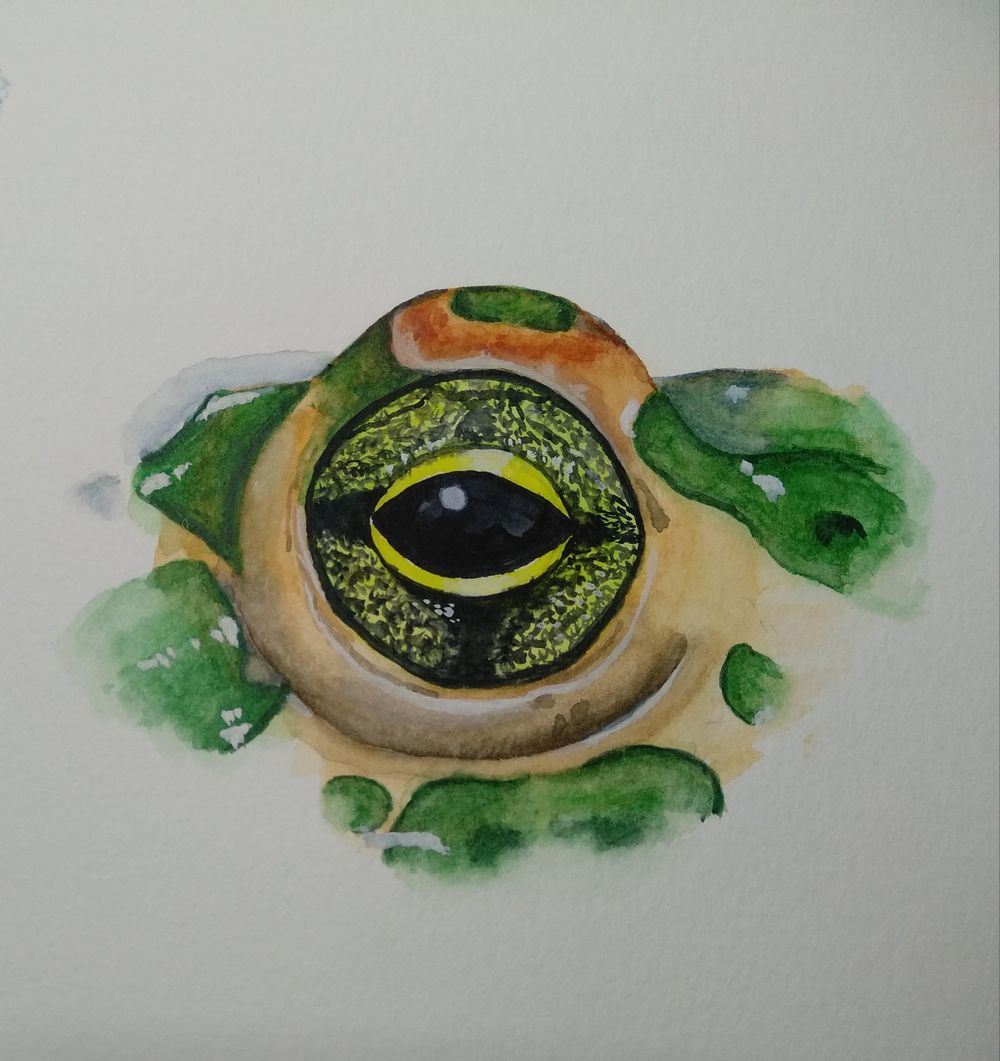 Eyes - image 5 - student project