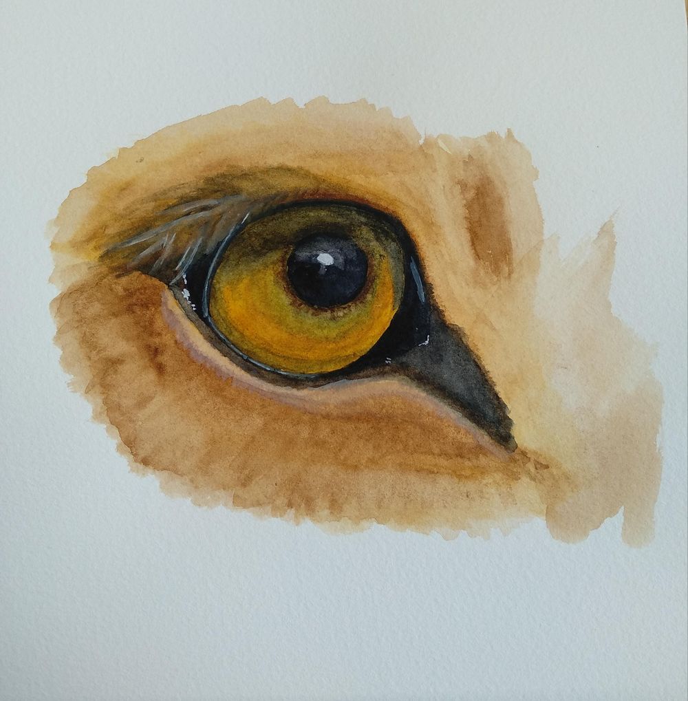 Eyes - image 6 - student project