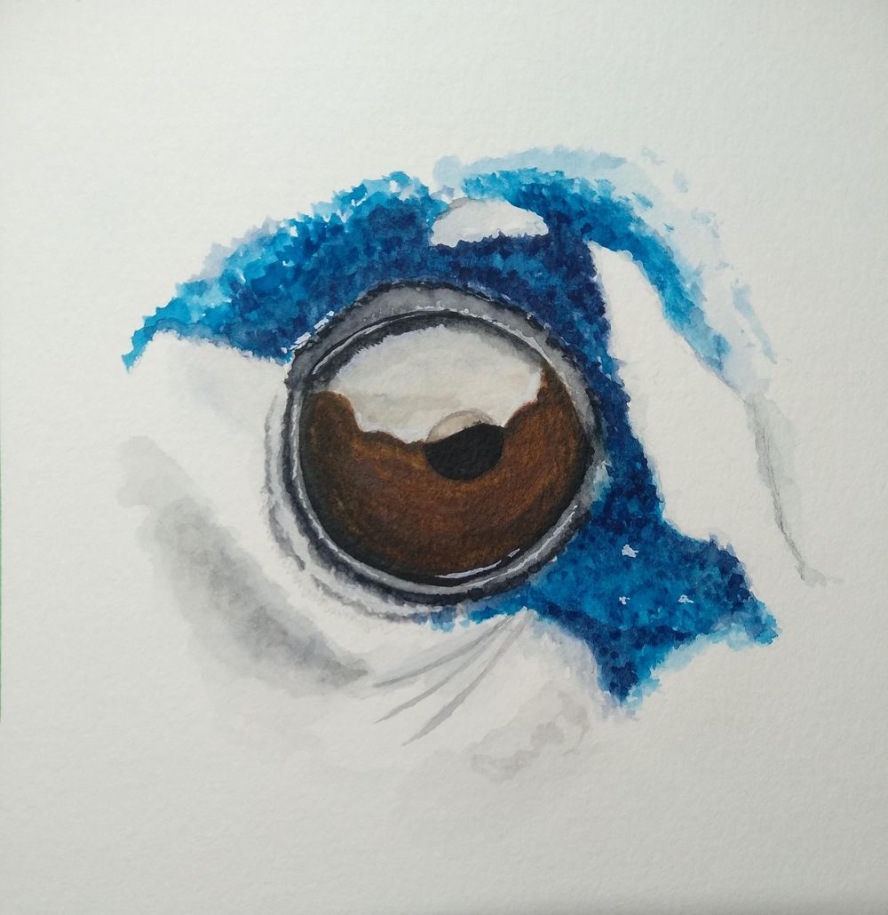Eyes - image 3 - student project