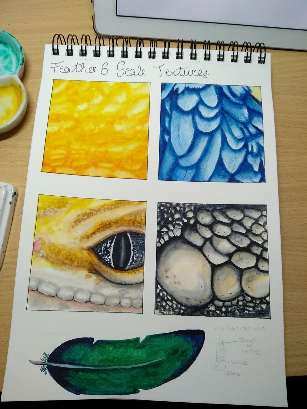 Fur, feathers and scales - image 4 - student project