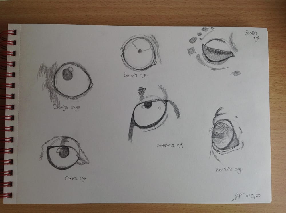 Eyes - image 1 - student project