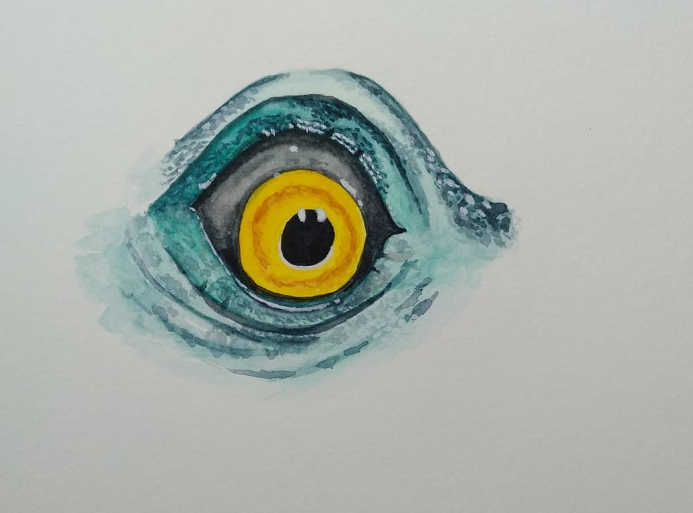 Eyes - image 4 - student project