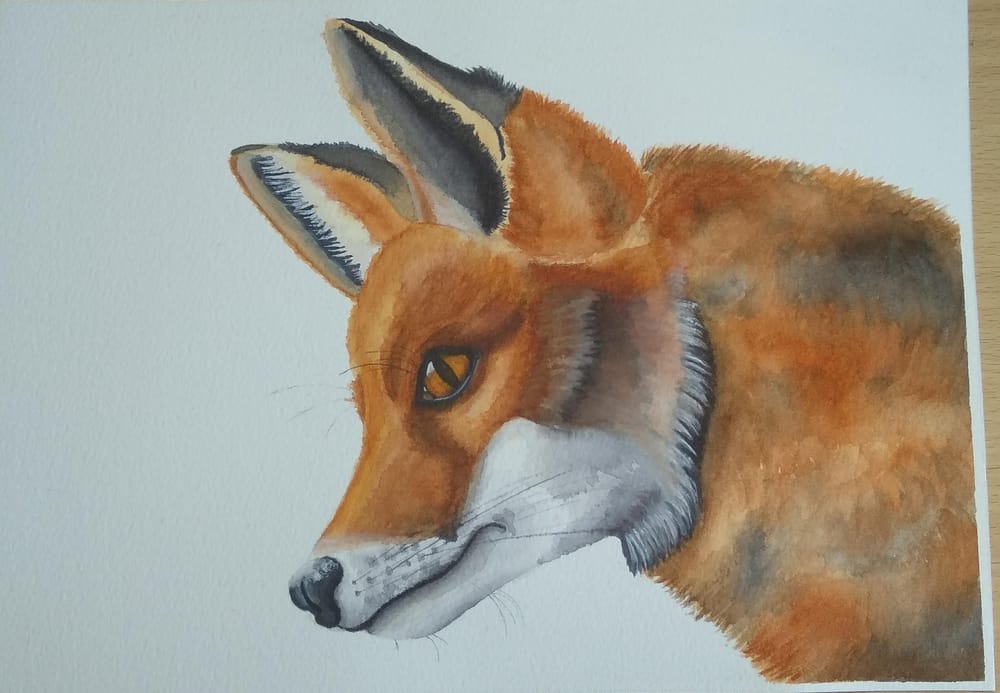 Fur, feathers and scales - image 3 - student project