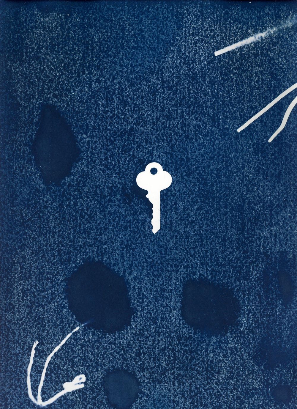 UV Light Setup for Making Cyanotypes - image 1 - student project