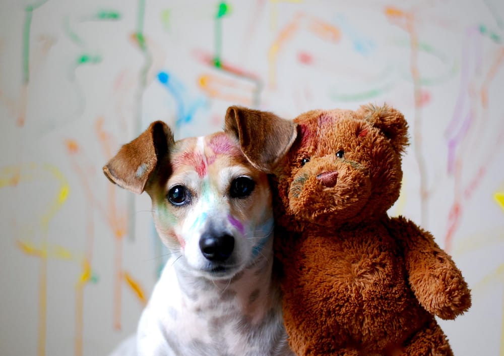 Lotte and the Bear - image 1 - student project