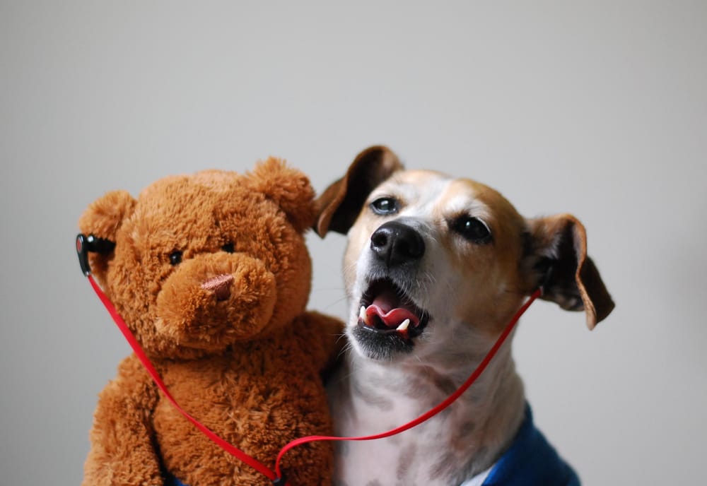 Lotte and the Bear - image 5 - student project