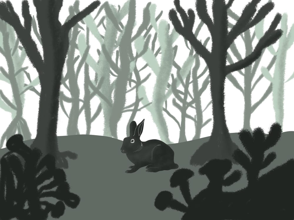 Forest Scene - image 1 - student project