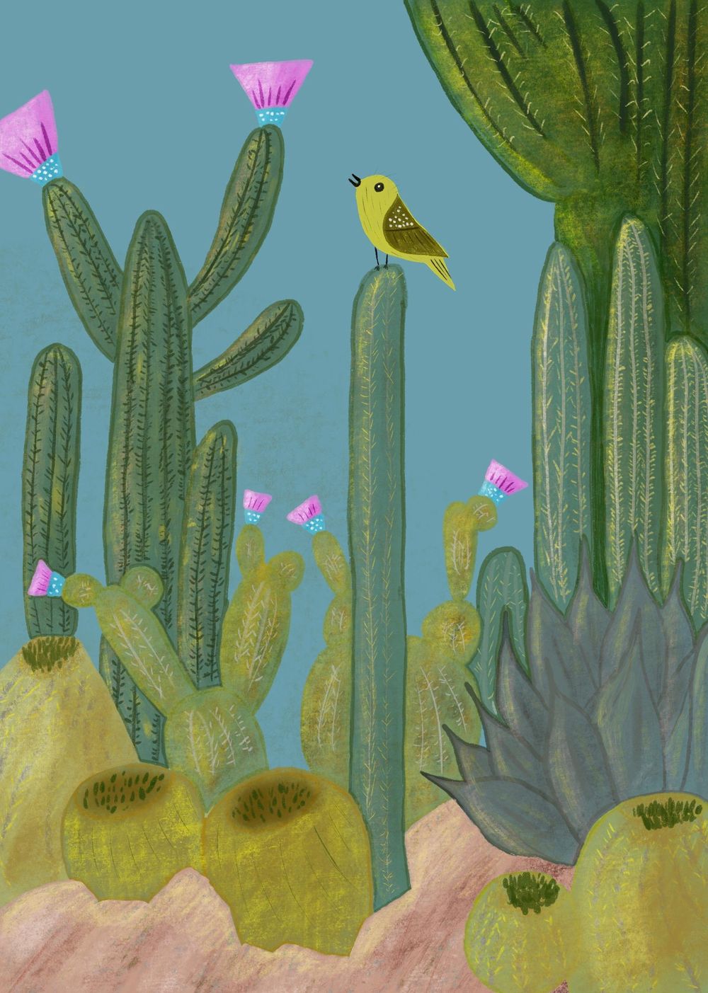 Little Cacti Garden - image 1 - student project