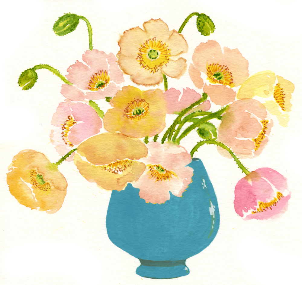 Poppies - image 3 - student project