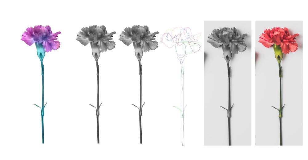 Affinity flowers - image 1 - student project