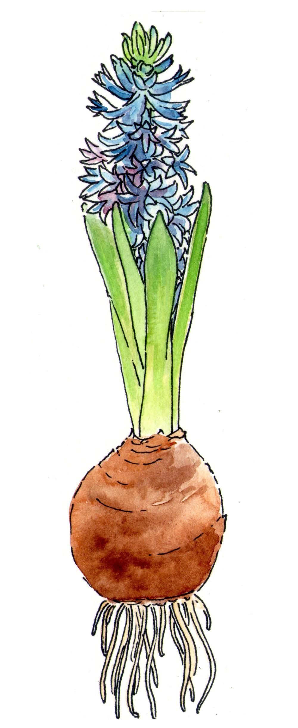 Welcome spring! - image 1 - student project