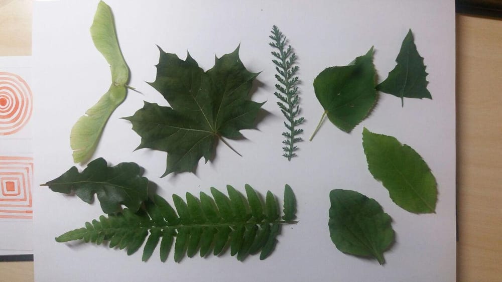 Yarrow pattern - image 3 - student project