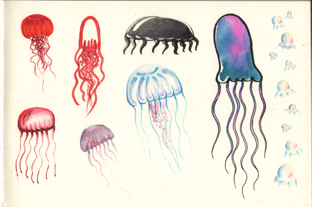 Jellyfish in different styles - image 2 - student project