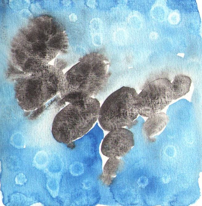 Texture magic - image 8 - student project