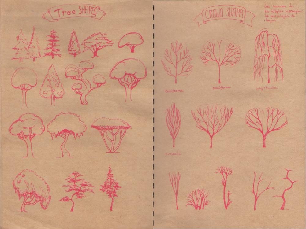 Trees of joy - image 2 - student project