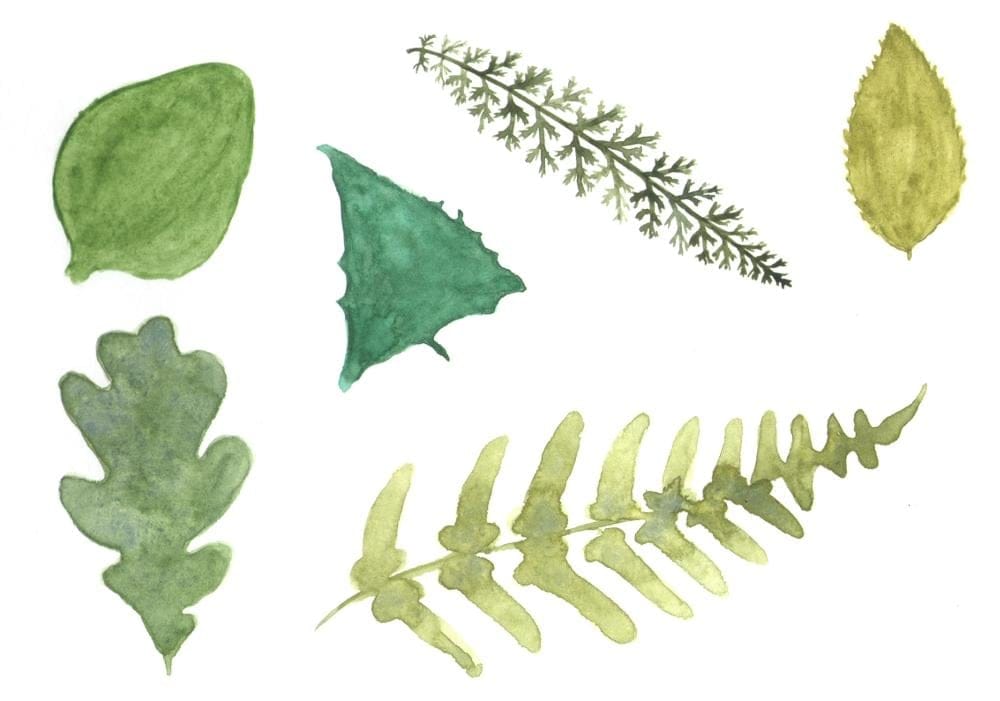 Yarrow pattern - image 5 - student project