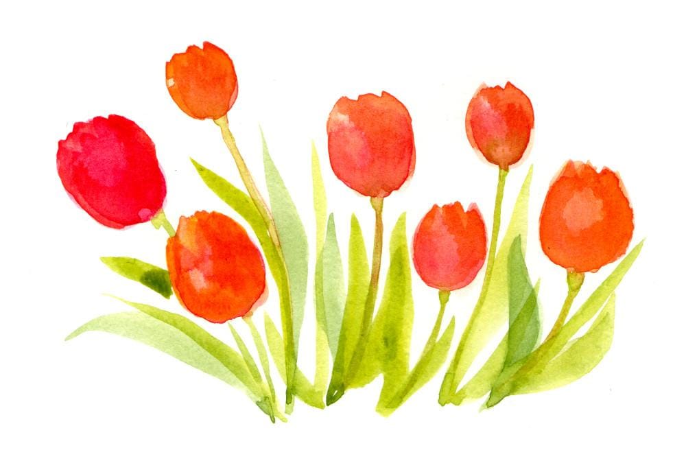 Welcome spring! - image 3 - student project