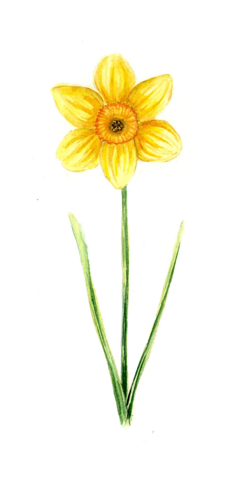 Welcome spring! - image 2 - student project