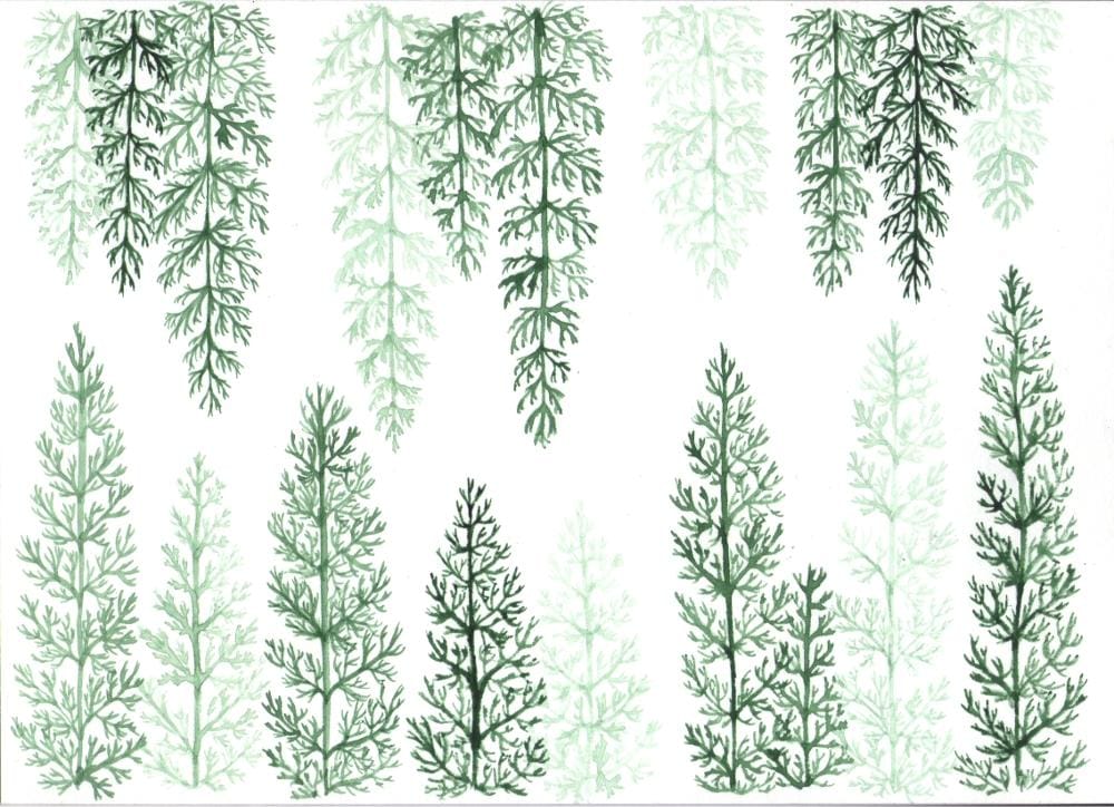 Yarrow pattern - image 7 - student project