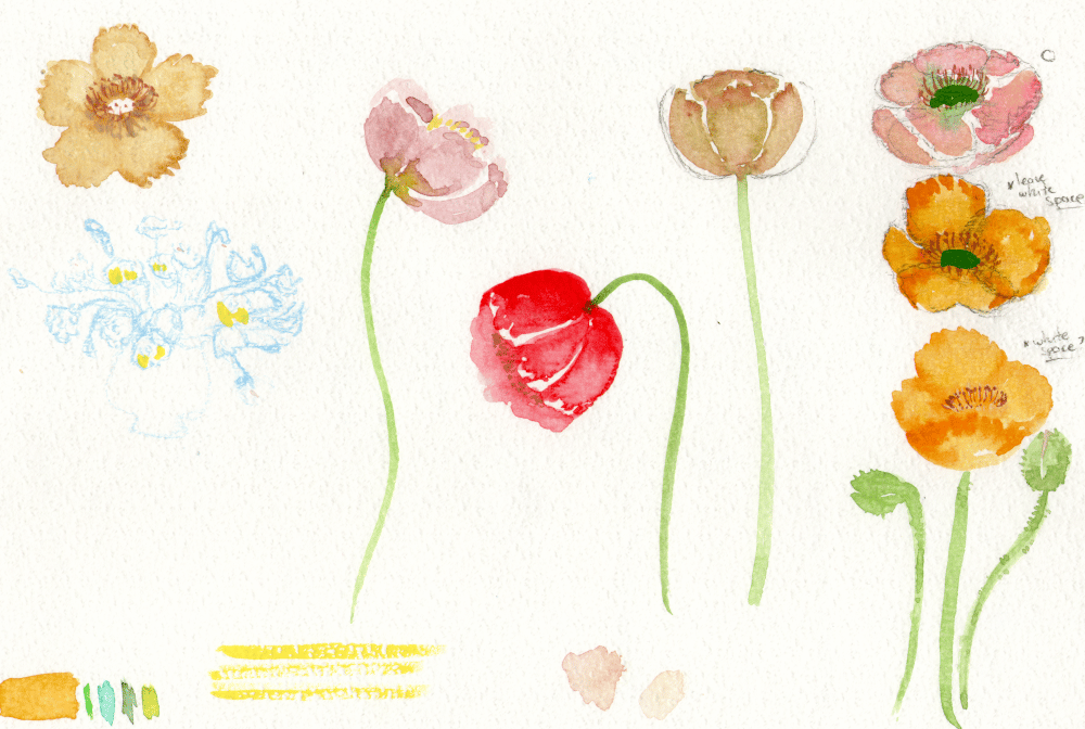 Poppies - image 2 - student project
