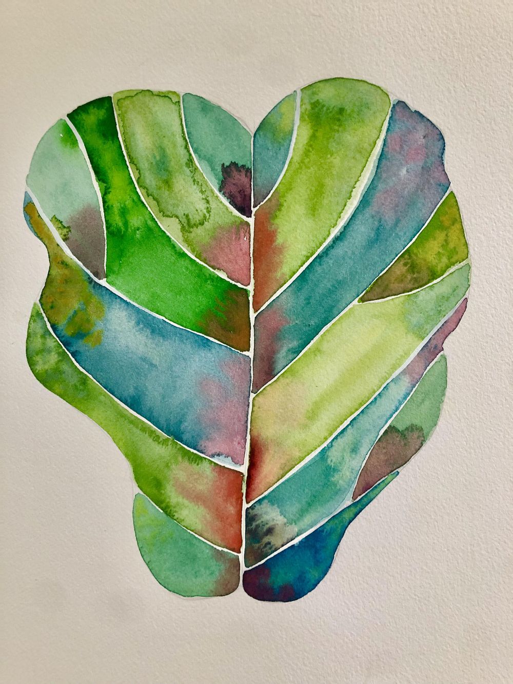 Ficus, Monstera and Hibiscus - image 1 - student project