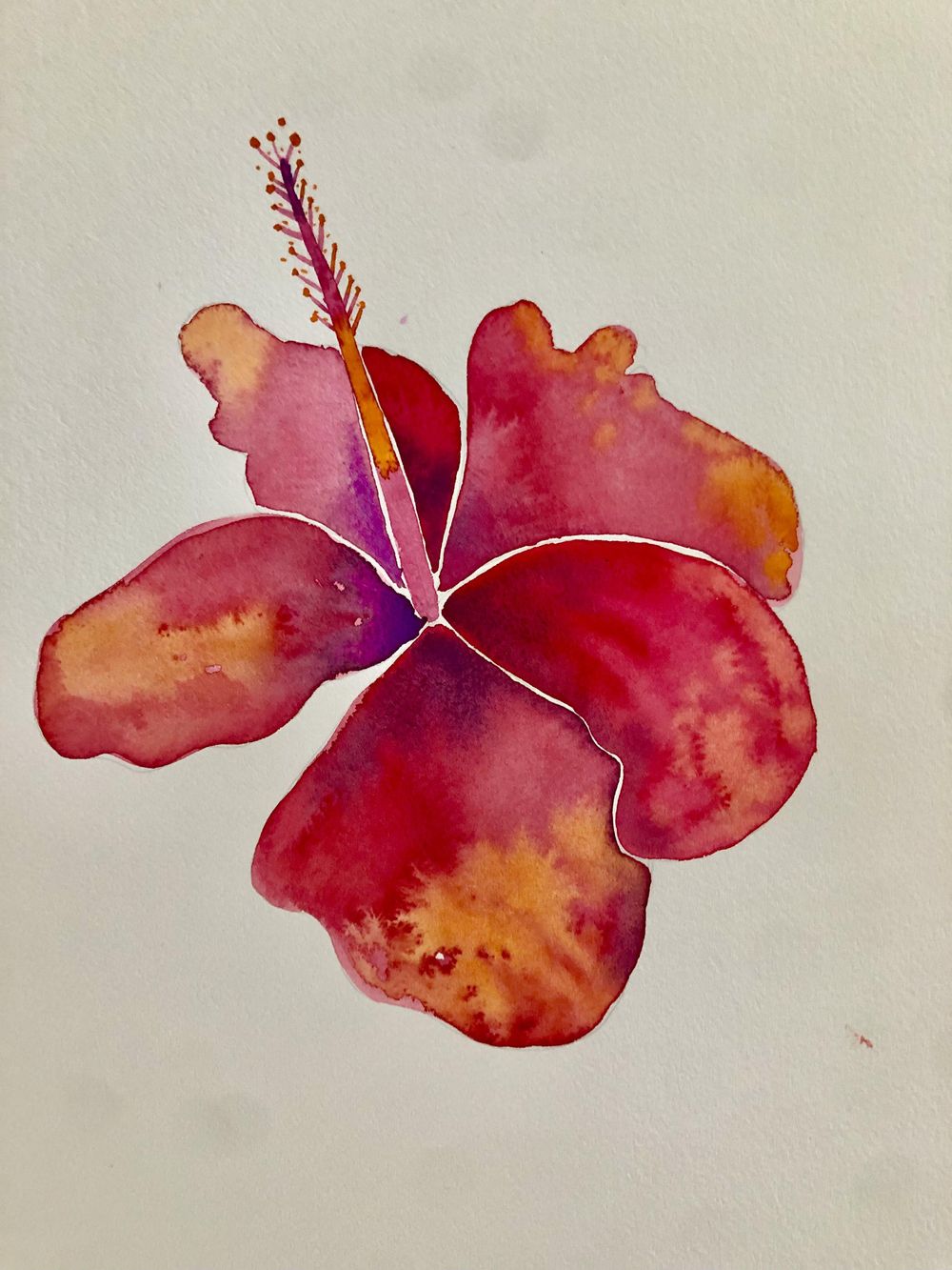 Ficus, Monstera and Hibiscus - image 2 - student project