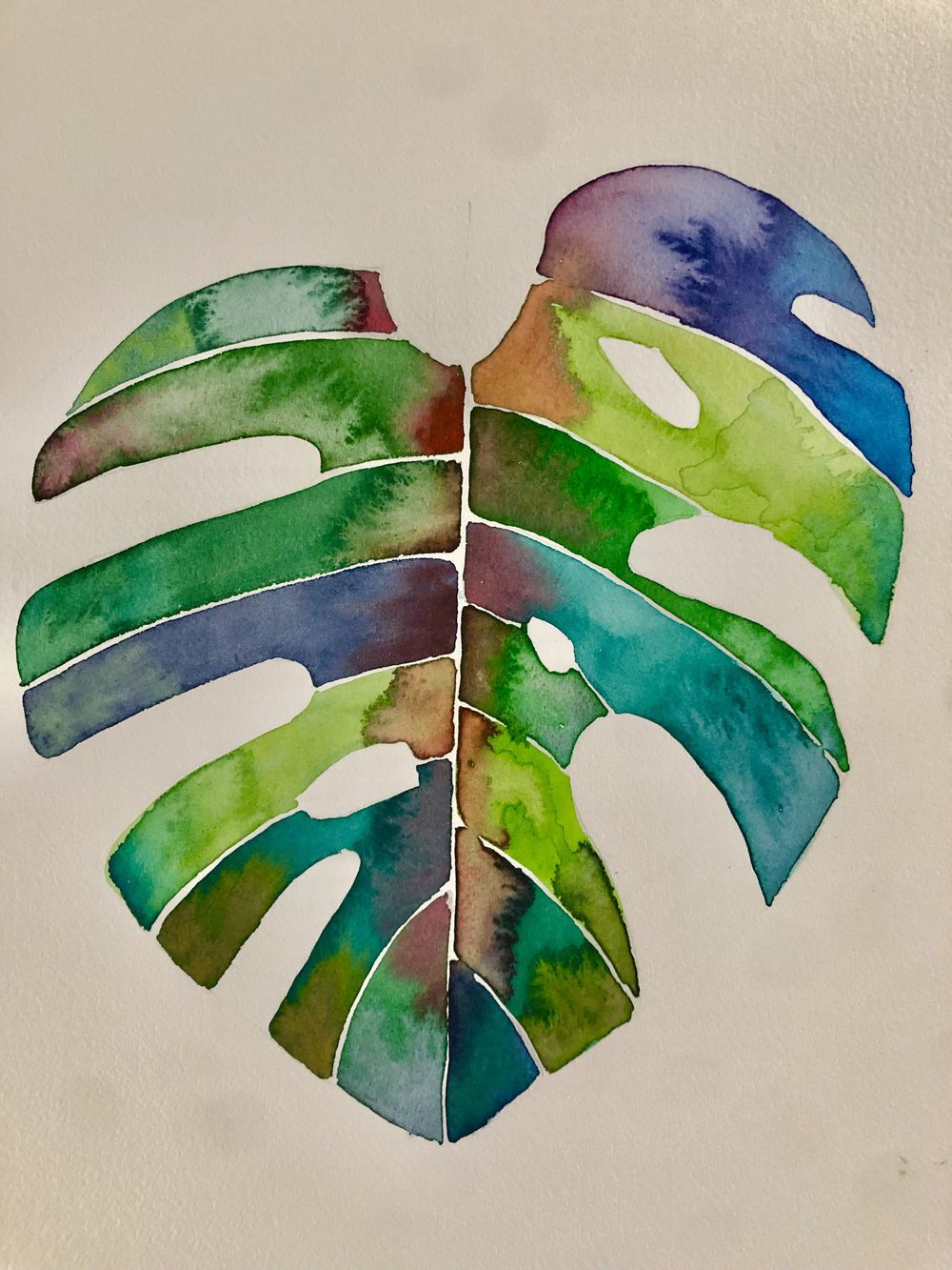 Ficus, Monstera and Hibiscus - image 3 - student project
