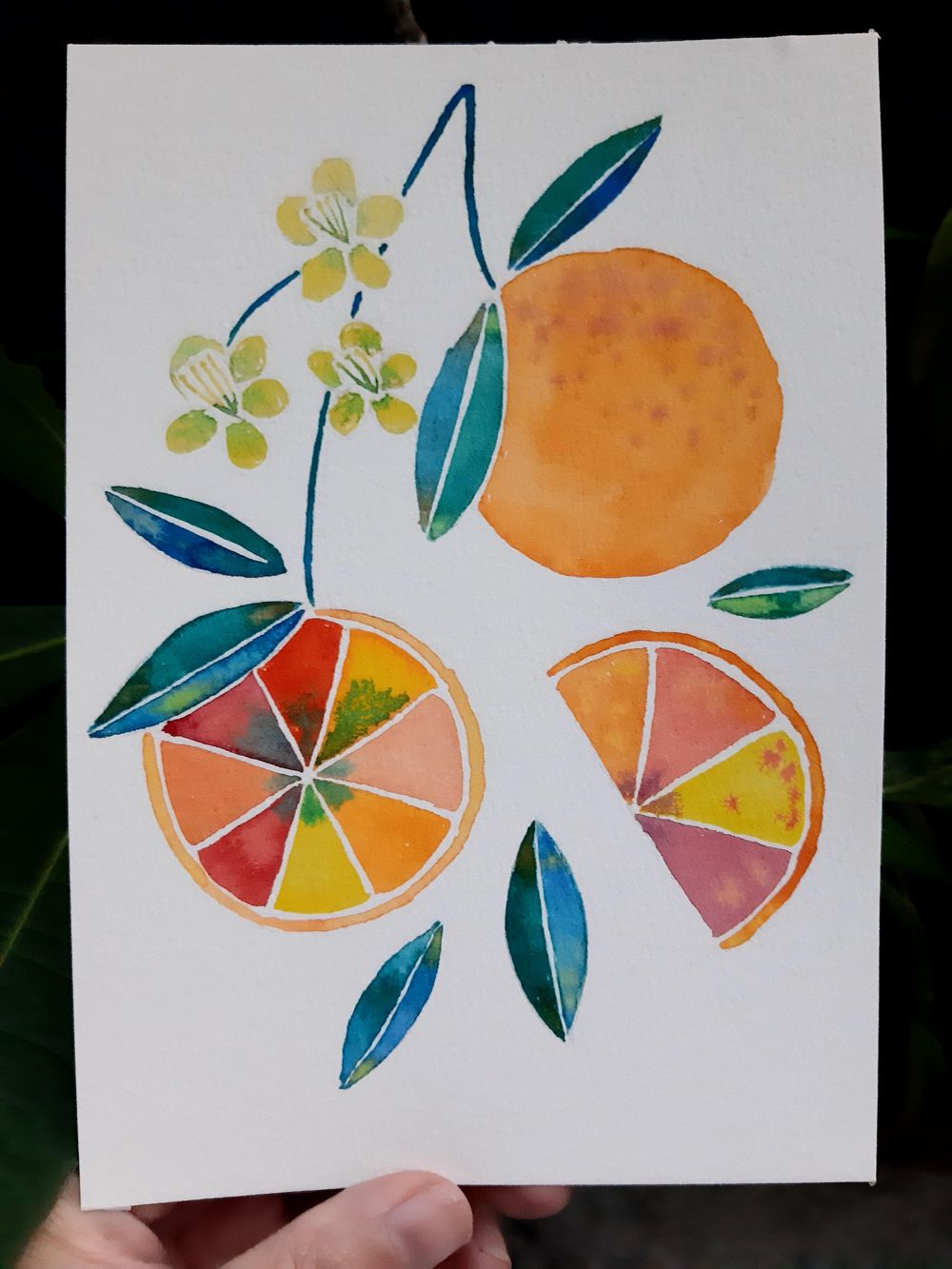 Watermelon Hibiscus and Citrus - image 2 - student project