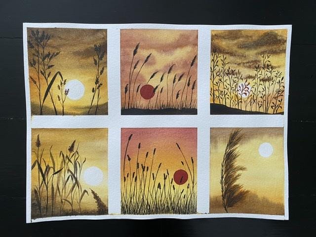 Sunset wild plants - G. Chandramohan - image 1 - student project