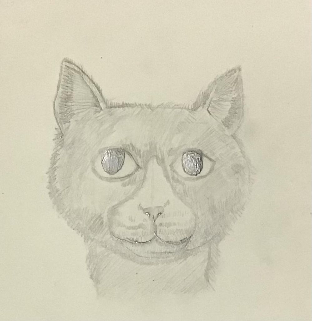 The Cats - image 1 - student project