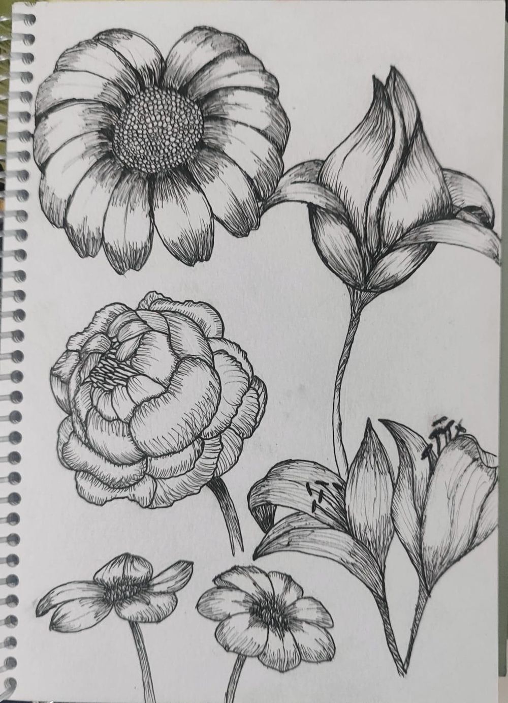 Flores - image 1 - student project