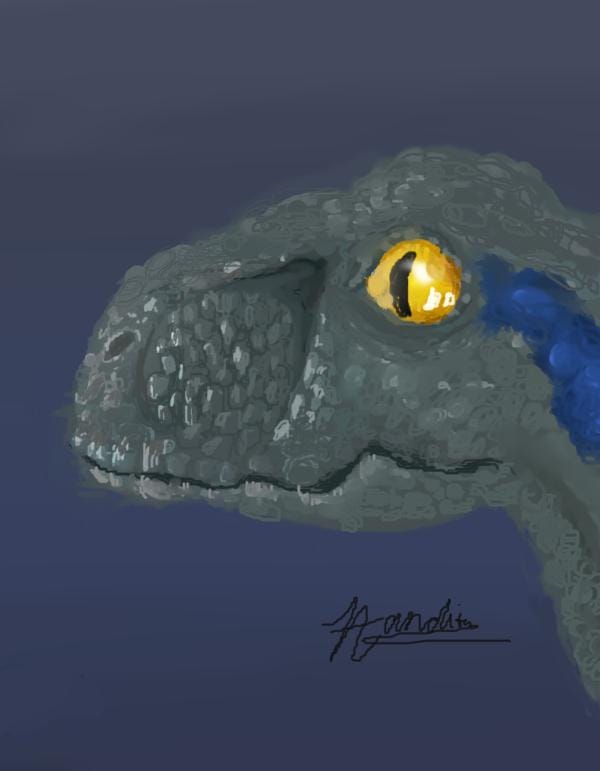 velociraptor - image 1 - student project