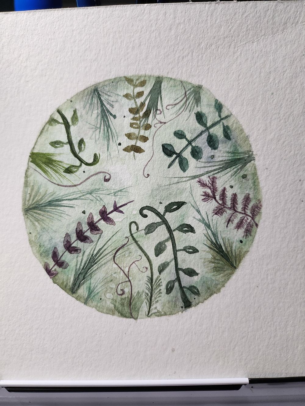 Timid try - image 1 - student project