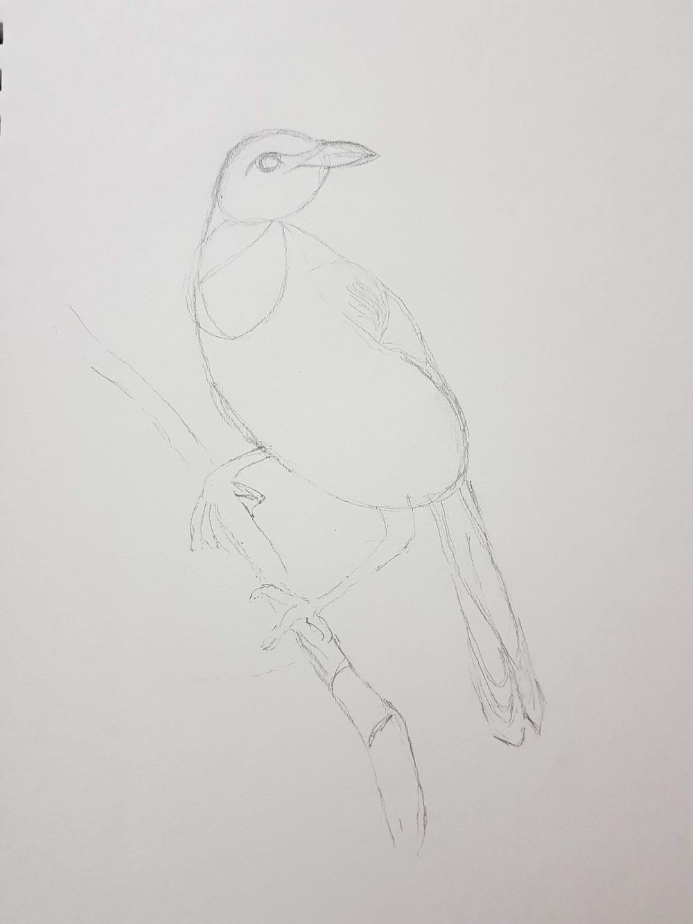 The Basic Skills - The Art & Science of Drawing - image 8 - student project