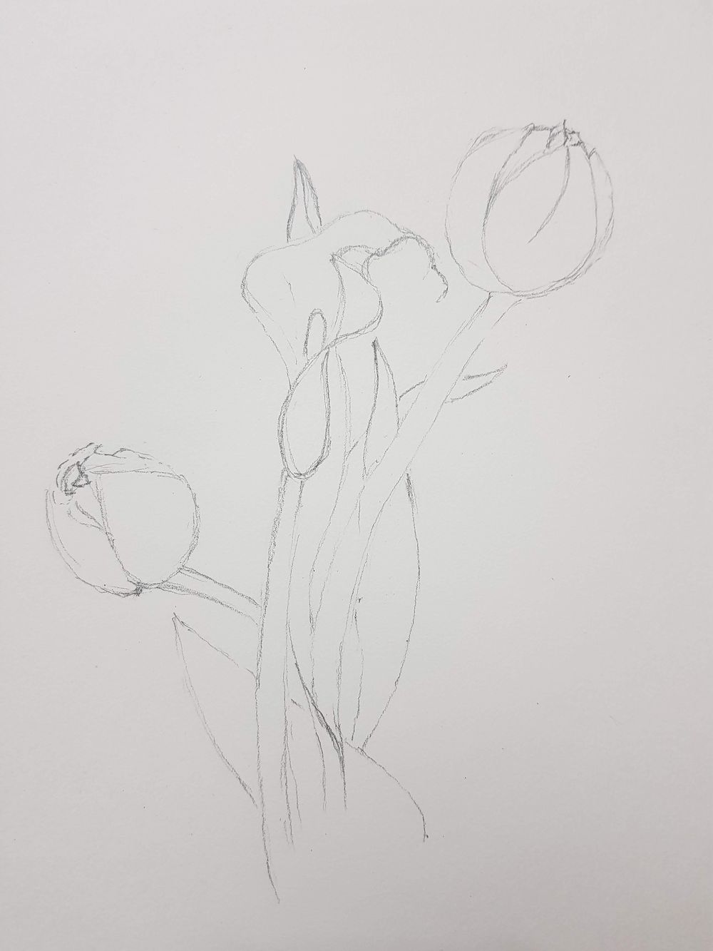 The Basic Skills - The Art & Science of Drawing - image 5 - student project